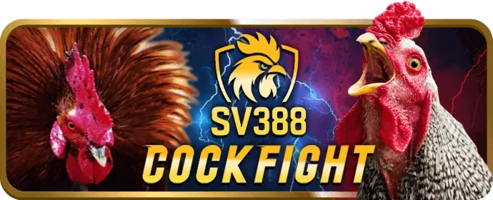 Đá gà cựa sắt và cựa dao tại fabet88 link mới